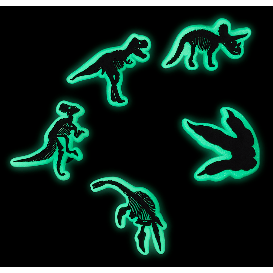 Crocs Trending | Glow In The Dark Dino 5 Pack Jibbitz Shoe Charm