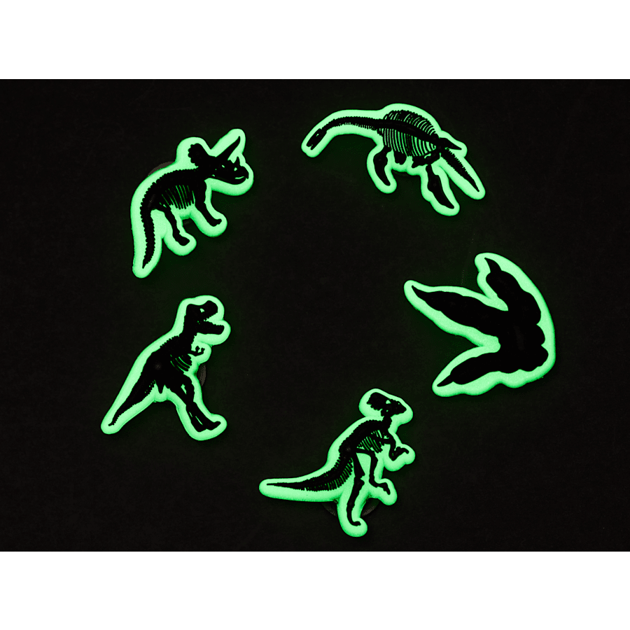 Crocs Trending | Glow In The Dark Dino 5 Pack Jibbitz Shoe Charm