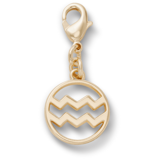 Crocs Popular | Aquarius Charm Jibbitz™ charms