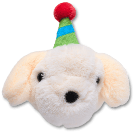 Crocs Classic | Record Your Own Sound Birthday Jibbitz™ charms