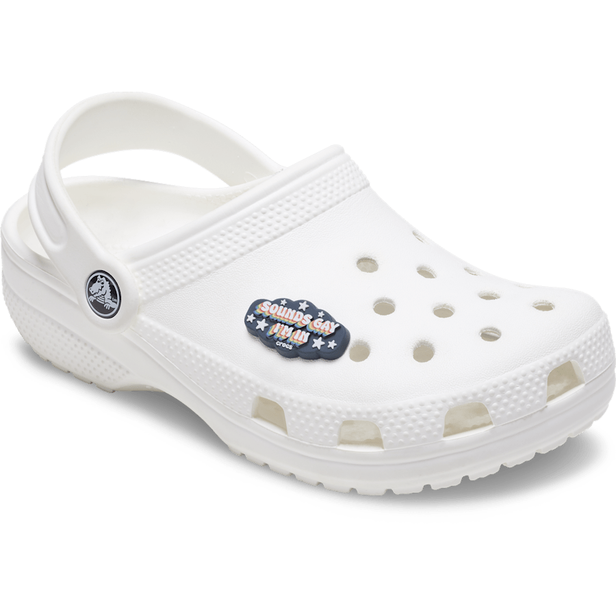 Crocs Best Seller | Sounds Gay Im In Jibbitz™ charms